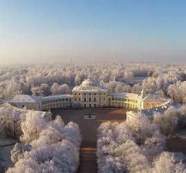 Новогодний праздник для детей «Новогодние истории в Павловском Дворце»