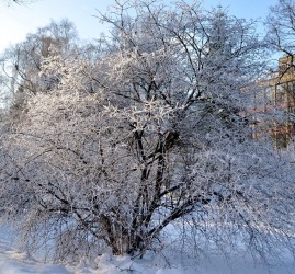Прогулка по Тропическому маршруту «Приказано выжить!» 2021