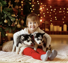 Интересные события в Санкт-Петербурге в выходные 6 и 7 декабря 2025