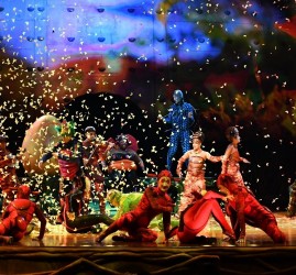 Шоу «OVO Cirque du Soleil»