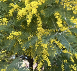 Интересные события в Санкт-Петербурге в выходные с 6 по 9 марта 2026