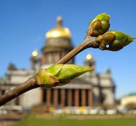 Топ-10 интересных событий в Санкт-Петербурге на выходные с 29 апреля по 2 мая