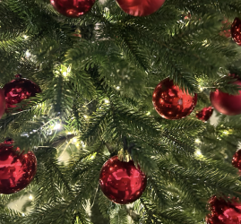 Топ-10 интересных событий в Санкт-Петербурге в выходные 20 и 21 декабря 205