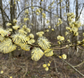 Топ-10 интересных событий в Санкт-Петербурге в выходные 4  и 5 апреля 2026
