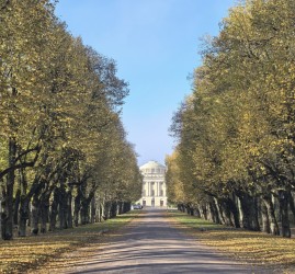 Интересные события в Санкт-Петербурге в выходные 31 октября и 1 ноября 2026