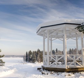 Зимние прогулки в парке «Монрепо» 2021