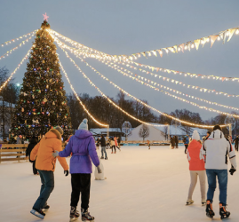 Большой каток на Елагином остове сезон 2025/26