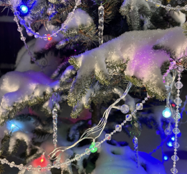 Интересные события в Санкт-Петербурге в новогодние праздники с 31 декабря по 11 января 2026