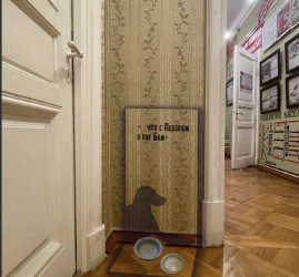 Выставка «В нашей квартире собаки и кот: питомцы С.М. Кирова»