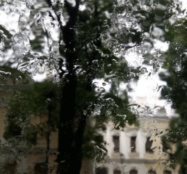 Неделя в музее Анны Ахматовой
