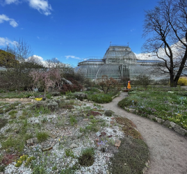Фестиваль «Тайны Весеннего королевства-2026» 