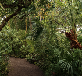 День всех влюбленных в Ботаническом саду Петра Великого 2026