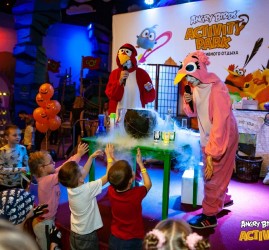 Активные каникулы для детей в Angry Birds Activity Park