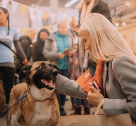 Фестиваль «WOOF»