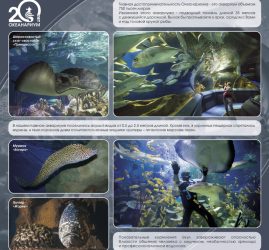 Выставка «20-летие Океанариума»