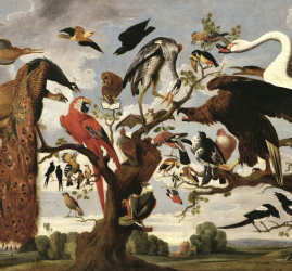 Выставочный проект «Класс зверей и птиц, цветов и плодов. Академические классы XVIII века»