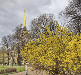 Интересные события на майские праздники в Санкт-Петербурге 2026