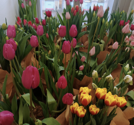 Фестиваль «Весна на высоте» 2026