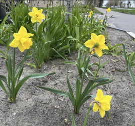 Интересные события в Санкт-Петербурге в выходные 25 и 26 апреля 2026