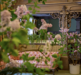 В музее-заповеднике «Царское Село» в январе зацвели сирень и миндаль