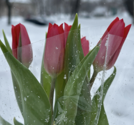 Подборка интересных событий в Санкт-Петербурге в выходные 14 и 15 марта 2026