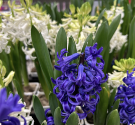 Интересные события в Санкт-Петербурге в выходные 21 и 22 марта 2026