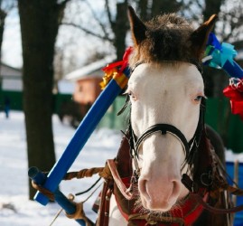 Масленица в Парке культуры и отдыха Сказок 2016