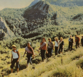 Выставочный проект «Лицевая сторона. Цветная фотооткрытка в СССР 1950–1970-х годов»