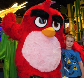 Скидка на посещение Angry Birds Activity Park