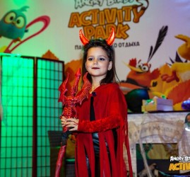Представление для детей «Кошмар на Острове Свинок в Angry Birds Activity Park»