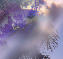 Выставка «Нерассказанные истории» Ольги Нефф