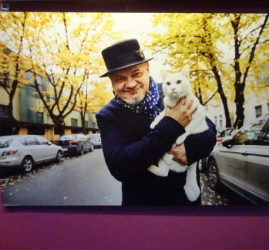 Фотовыставка «Главные котики Петербурга»
