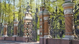 Заголовок статьи
