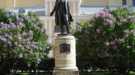 Заголовок статьи