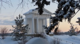 Заголовок статьи