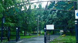 Заголовок статьи