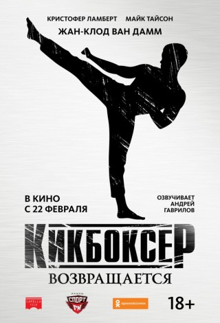 Кикбоксер возвращается