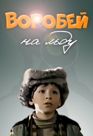 Воробей на льду
