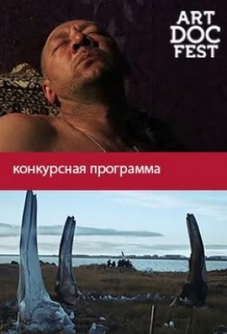 Программа «Дар / Кит из Лорино»