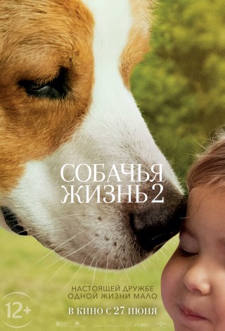Собачья жизнь-2