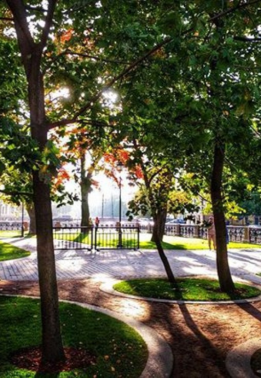 Новая Голландия