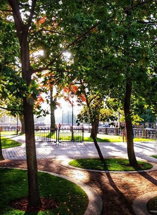 Новая Голландия