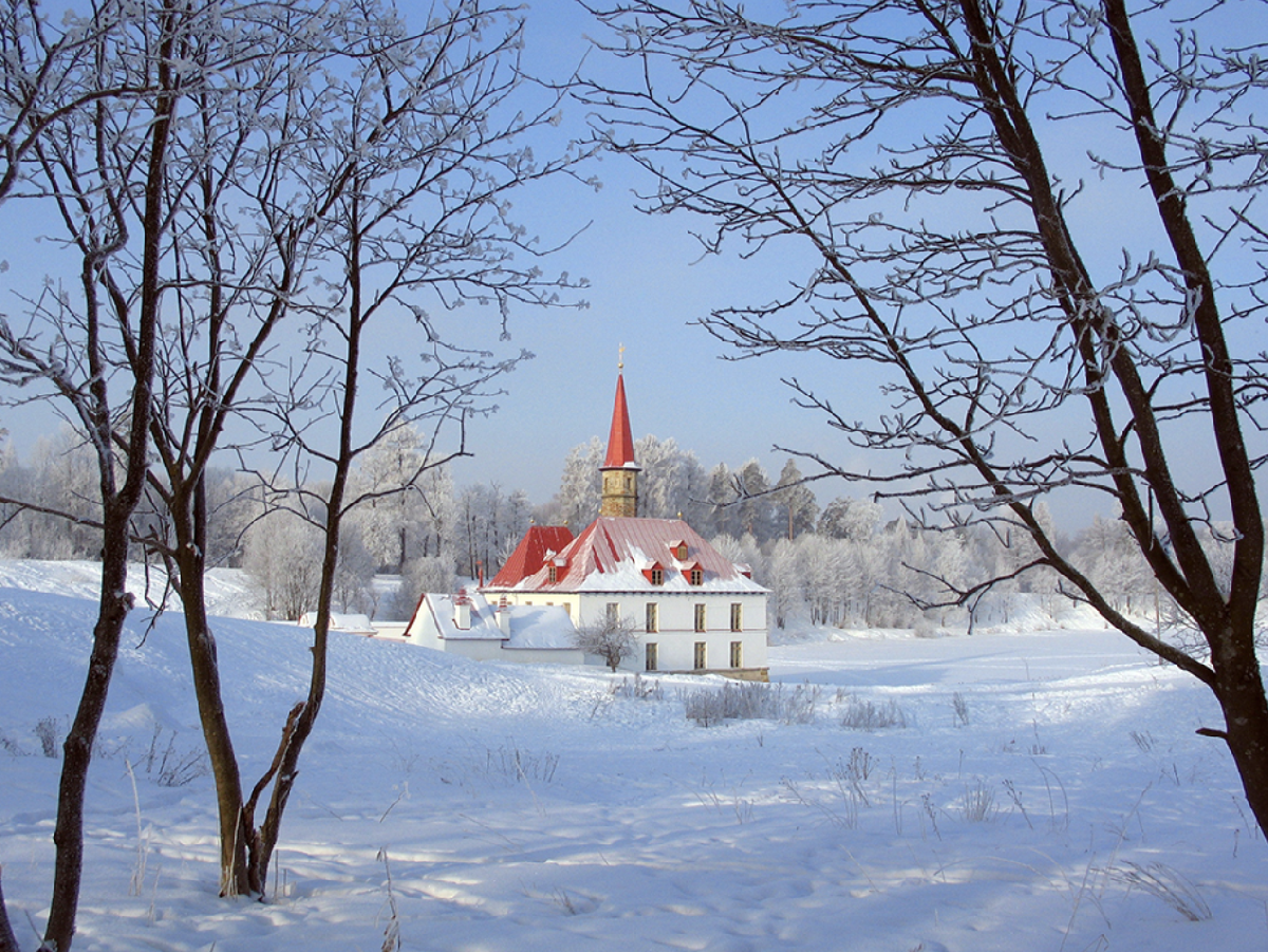 Фестиваль «Новогодняя кутерьма» 2026