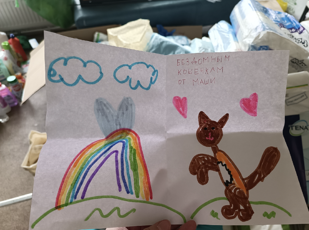 Акция «Поддержи хвостатых» в библиотеках Фрунзенского района 2026