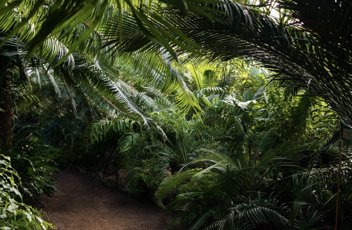 Патриотическая прогулка «Блокадная повесть Ботанического сада» 2026