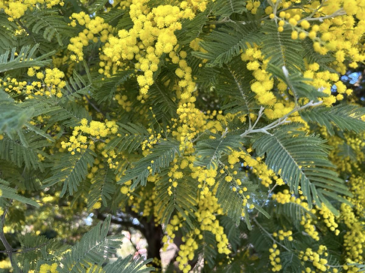 Интересные события в Санкт-Петербурге в выходные с 6 по 9 марта 2026