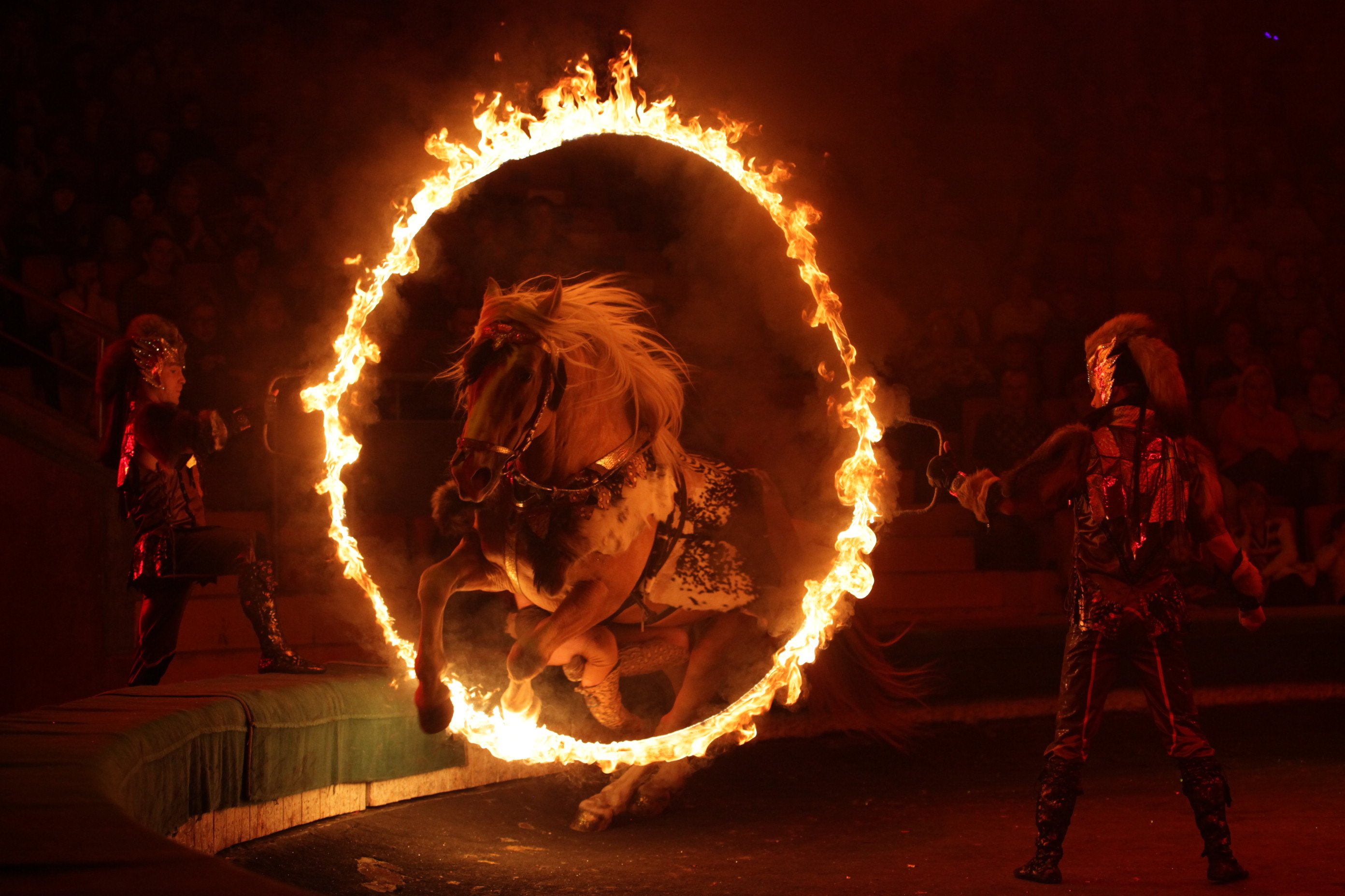 Конь прыгает через кольцо с огнем