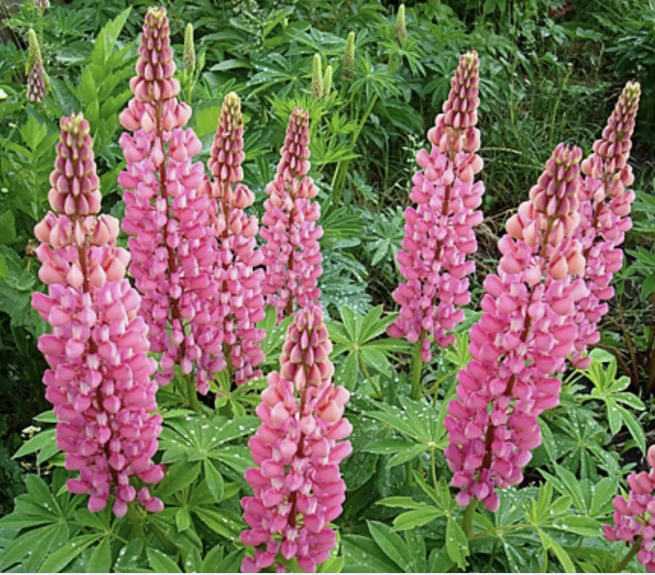 Фотовыставка «Россия — место силы»