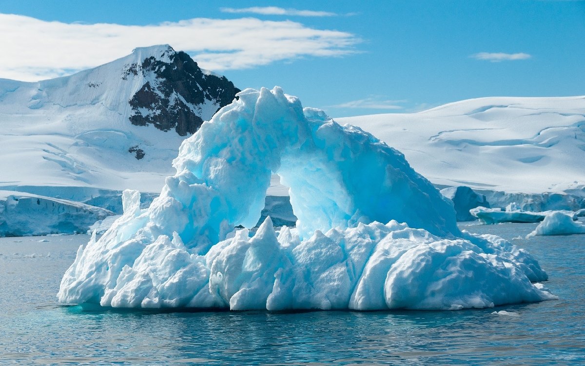 Выставка «Антарктида: два века исследования»