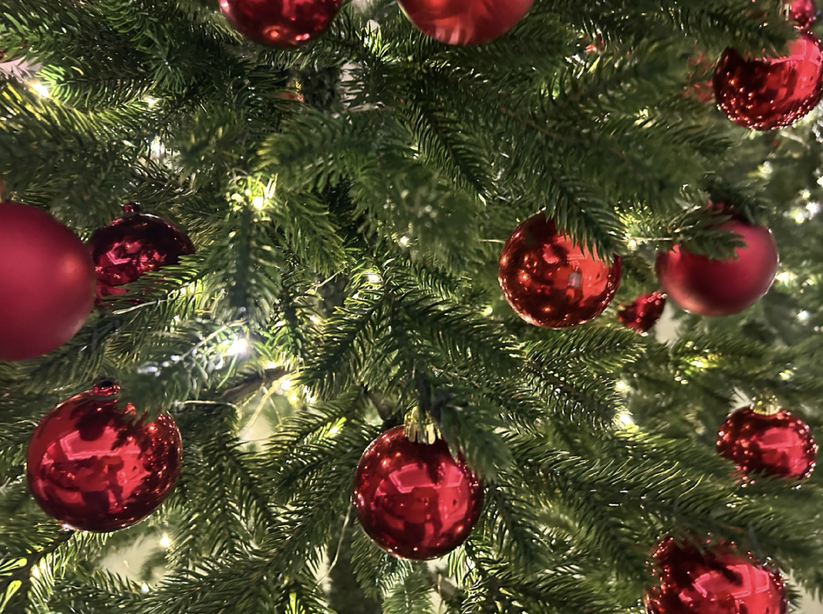 Топ-10 интересных событий в Санкт-Петербурге в выходные 20 и 21 декабря 205